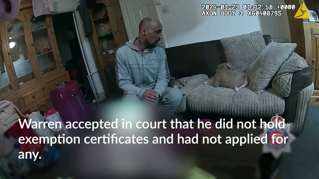 Man guilty of owning XL bully in fatal attack in first case since ban ...