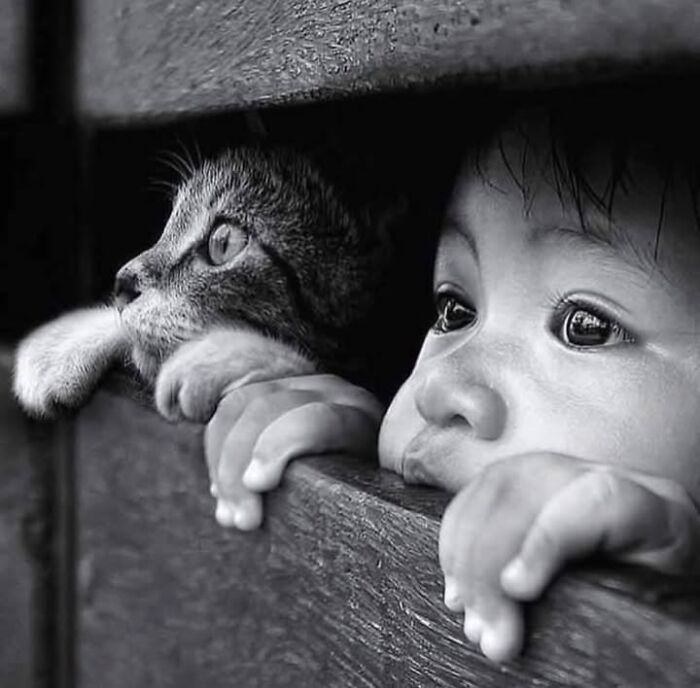 34 fascinating photos that prove timing is everything