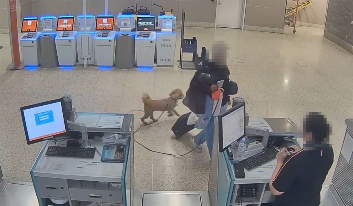 Woman arrested after abandoning her dog in airport