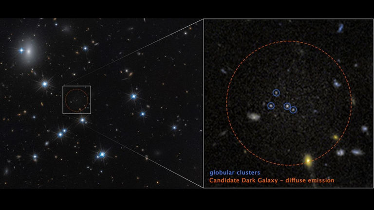 Hubble telescope discovers rare galaxy that is 99% dark matter