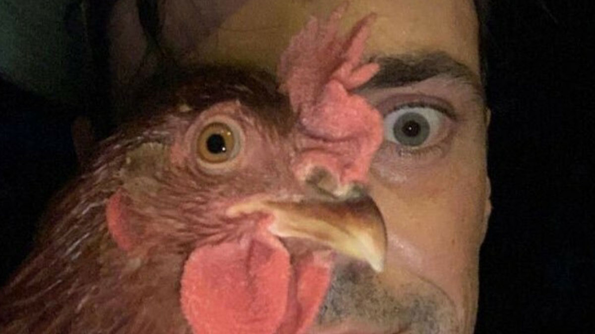 39 posts so unhinged, you may end up laughing while glancing over your ...