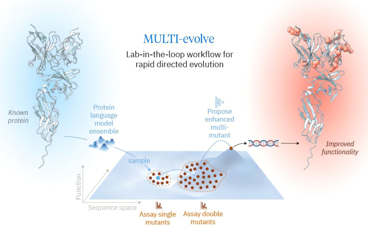Lab-in-the-loop framework enables rapid evolution of complex multi ...