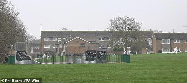 Teens as young as 14 among seven arrested after man, 20s, was stabbed ...