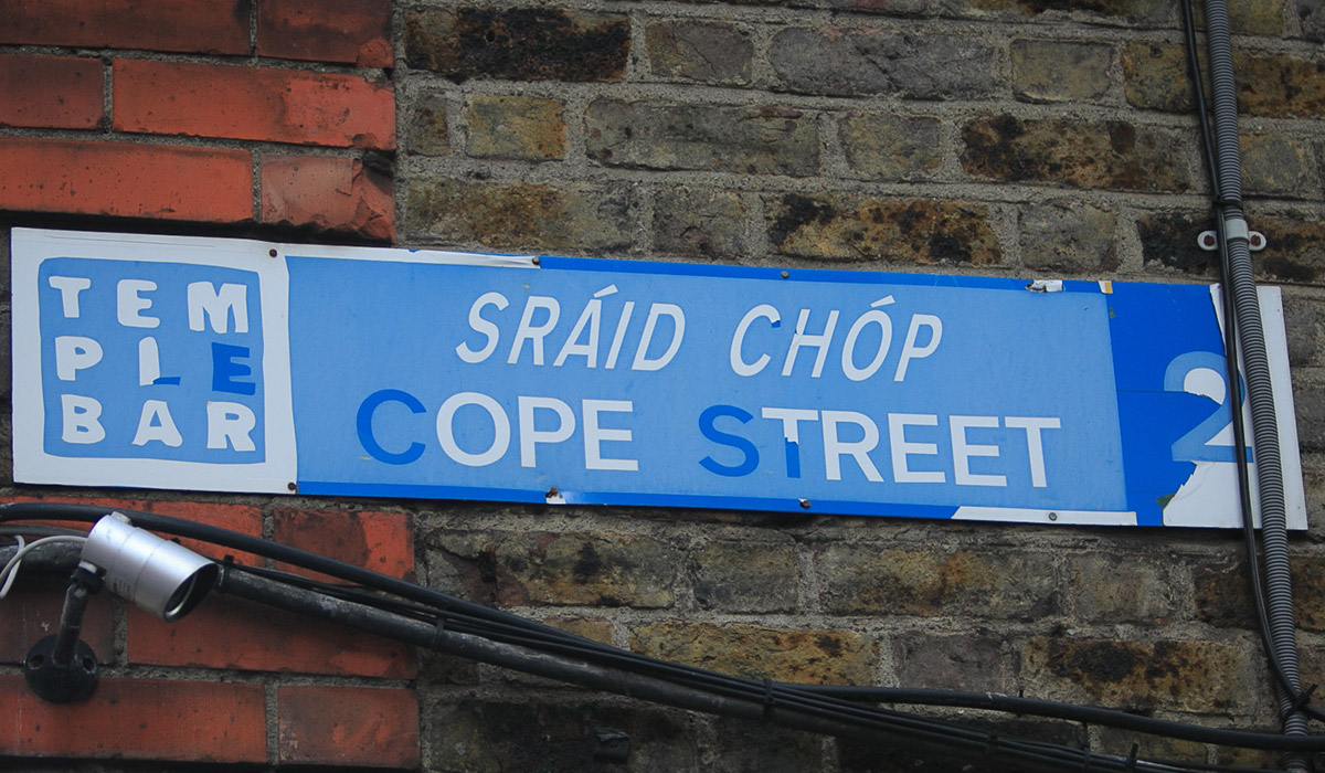 Gardai issue update on victim of Dublin assault after tattoo plea as two arrested<br><br>