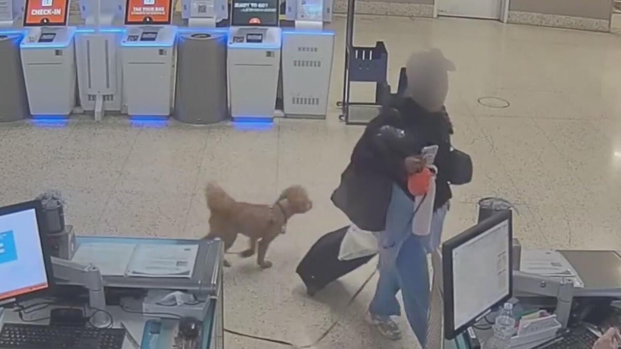 Woman arrested for abandoning dog at the airport