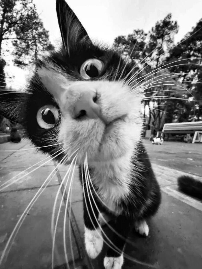 34 fascinating photos that prove timing is everything