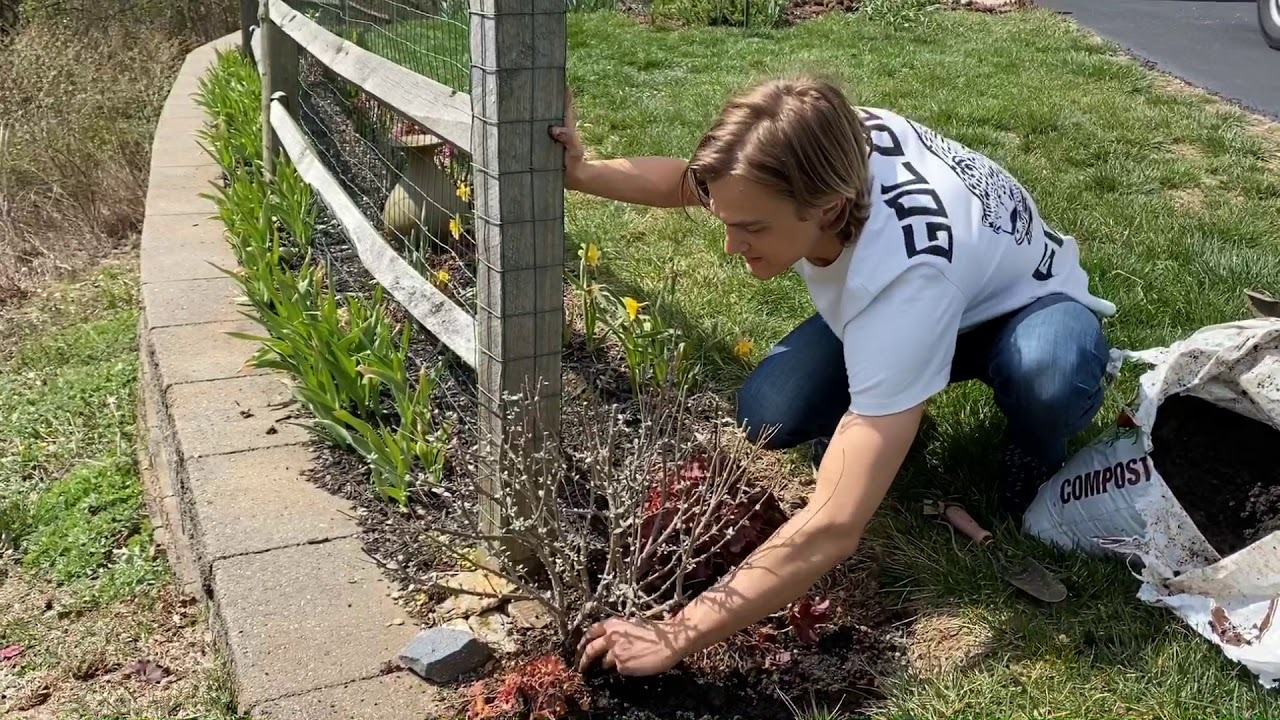 Amending your soil with compost