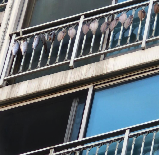 아파트가 건어물 가게? 베란다 난간에 생선 '주렁주렁'에 이웃들 고통 호소