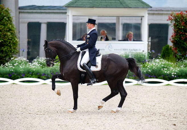 10 con ngựa đắt nhất thế giới