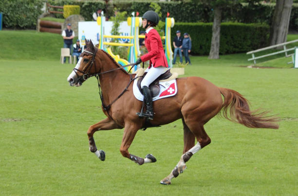 10 con ngựa đắt nhất thế giới