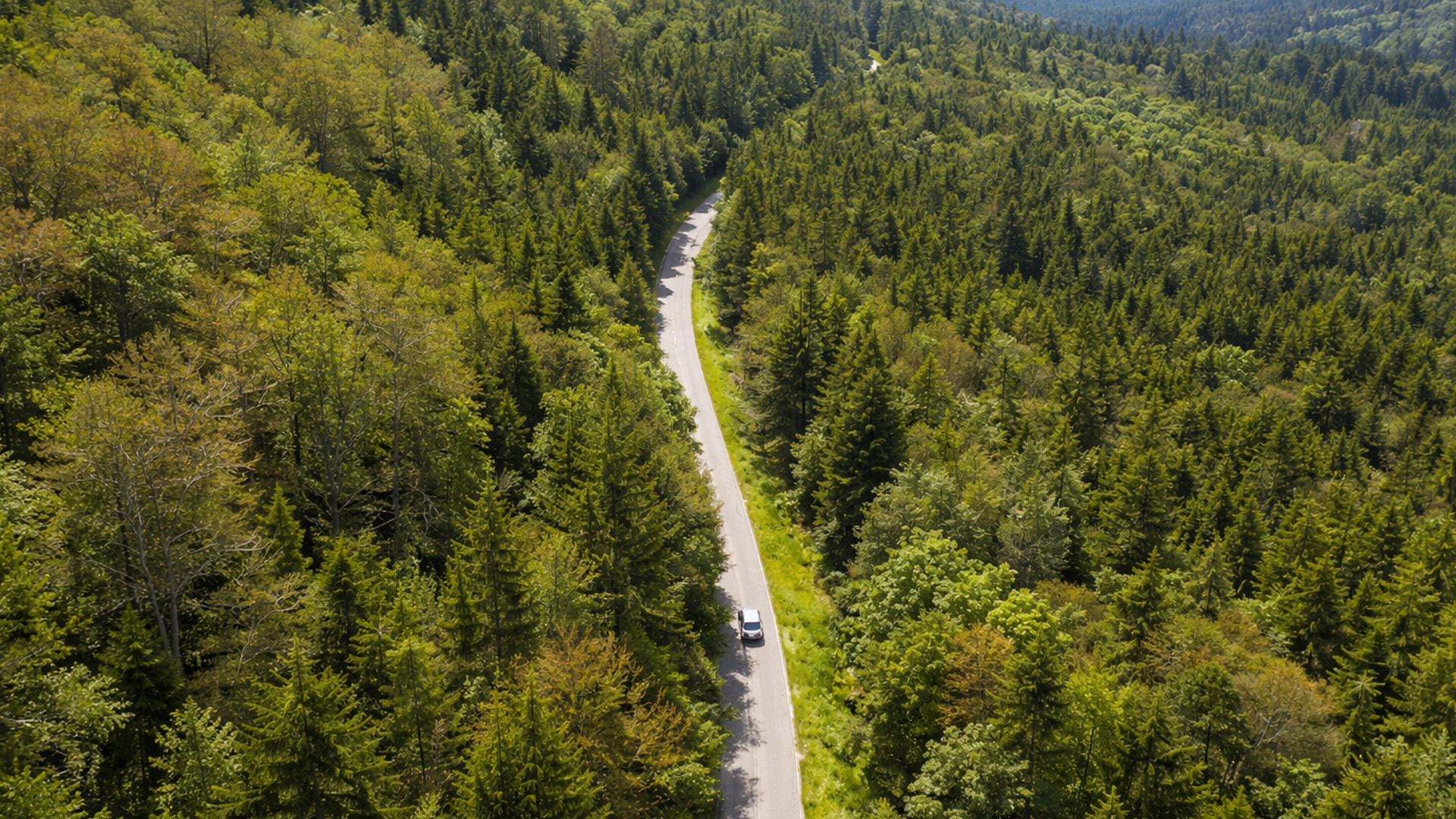 Would you drive alone here?