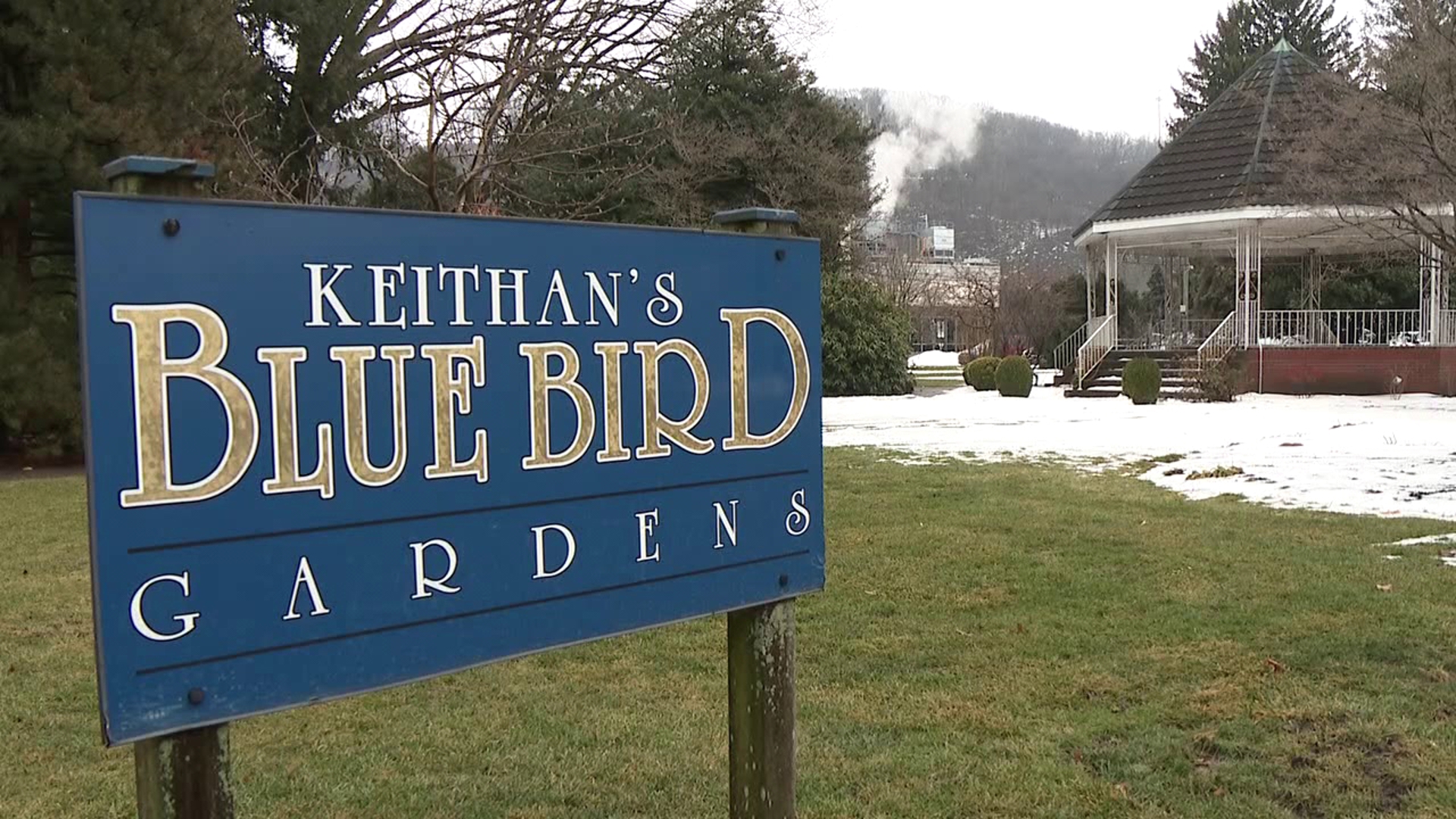 Sunbury's Keithan's Bluebird Gardens looks to raise money for crucial ...