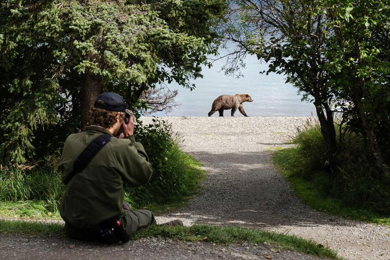 'I felt betrayed': National parks suddenly cancel seasonal media jobs