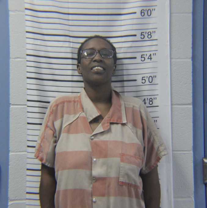 Teen, his mother and another man arrested after fight over gun ...