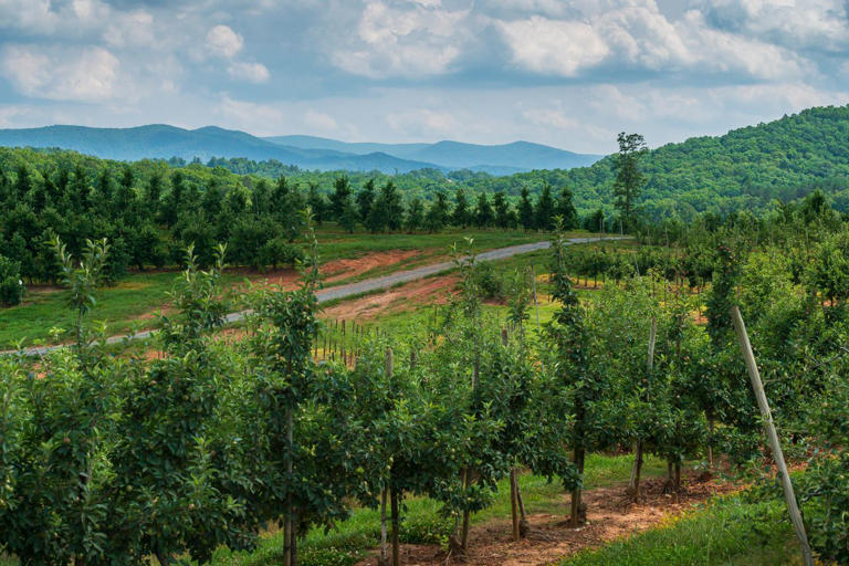 This small Georgia mountain town features a scenic railway and the ...
