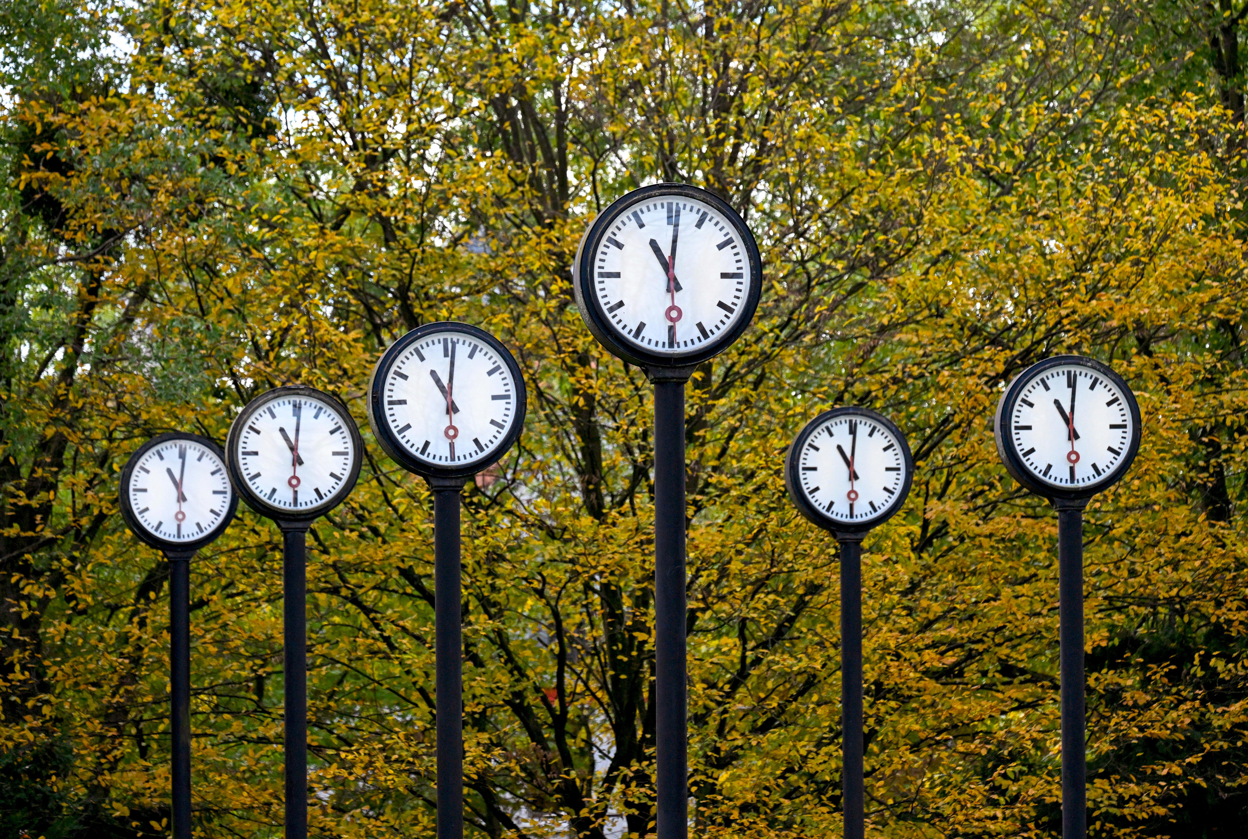How much sunshine will Florida gain after daylight saving time?