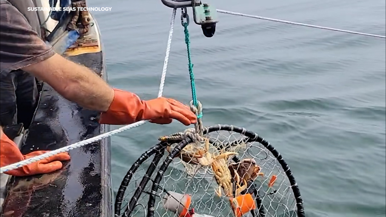 Here's how newly approved pop-up traps could extend Bay Area crab ...