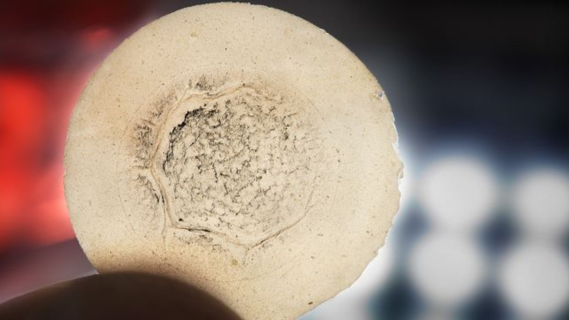 First-of-its-kind nanocellulose filters rare earth metals, reduces ...