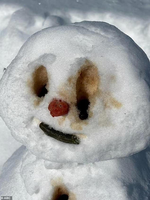 ABC compares Danika Mason to a melting snowman in brutal internal email ...