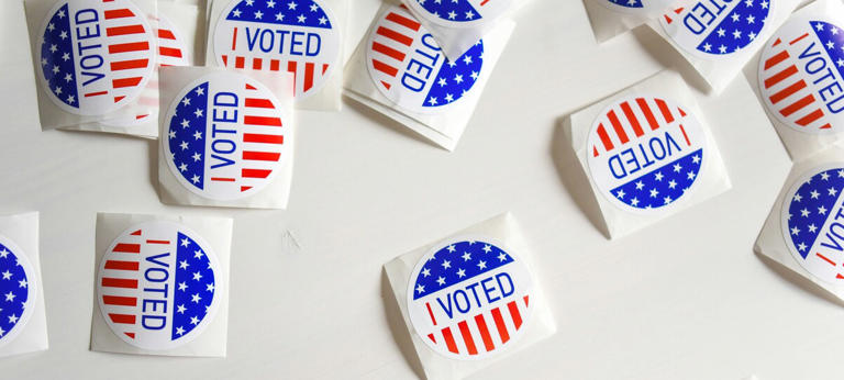 Jim Crow smears allowed by Democrat-aligned 'fact-checkers'