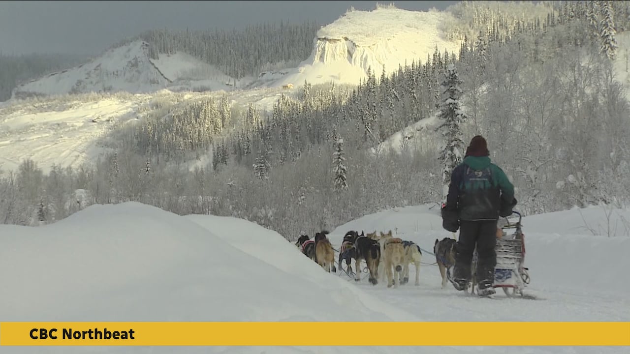 Bringing back the Yukon's most famous sled dog race