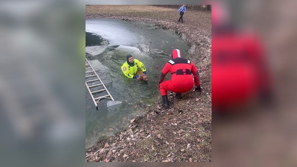 First responders rescue dog from icy pond