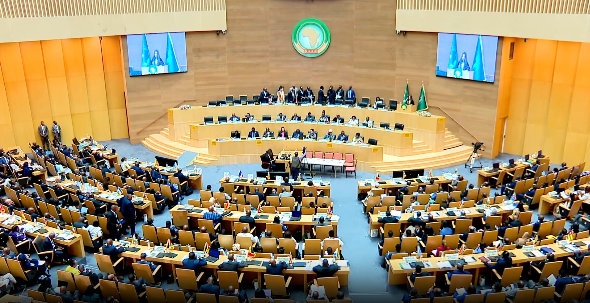 Africa deserves UN Security Council representation, improved access to ...