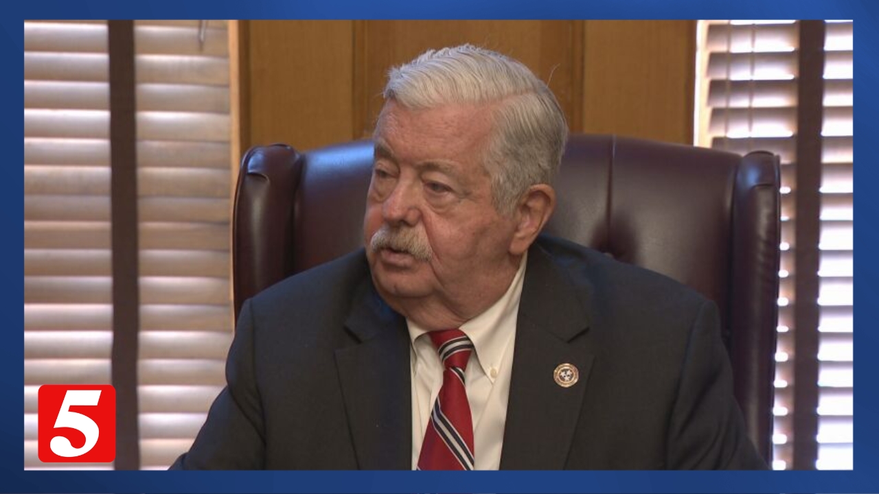 Tennessee GOP lawmakers still targeting NES after ice storm failures