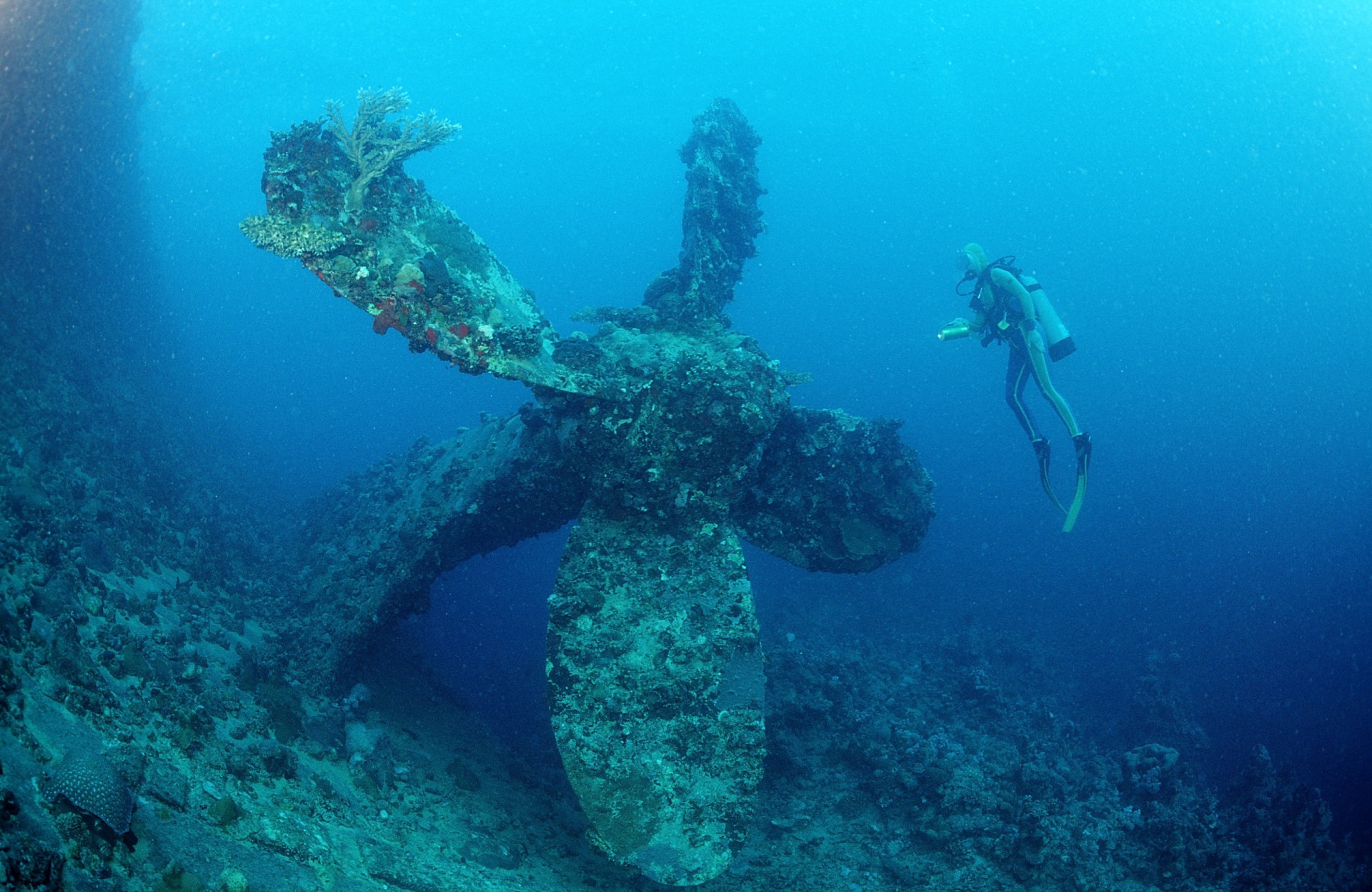 Mer Rouge : un trésor sous-marin y demeure intact