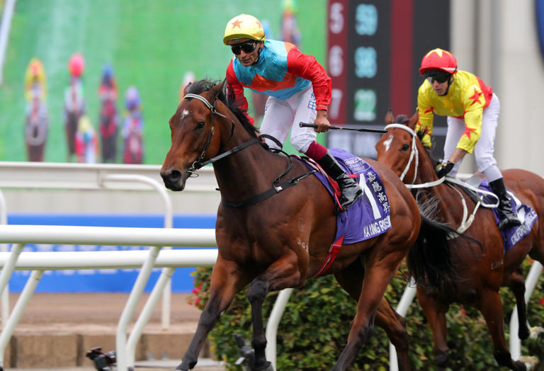 Extra pressure no concern for David Hayes as Ka Ying Rising bids for ...
