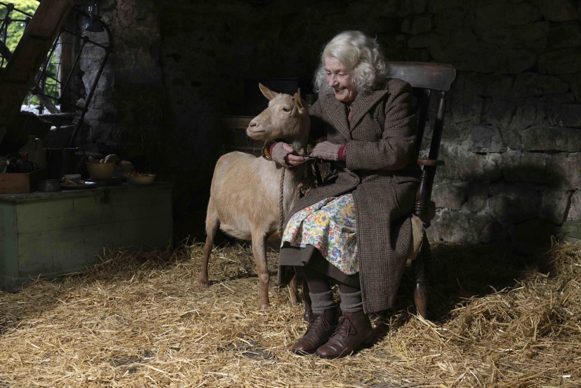 ‘All Creatures Great and Small’ season 6 finale brings Christmas cheer ...