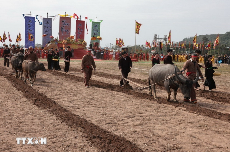 Du xuân đầu năm 2026: 4 lễ hội lớn diễn ra tại Ninh Bình không thể bỏ qua
