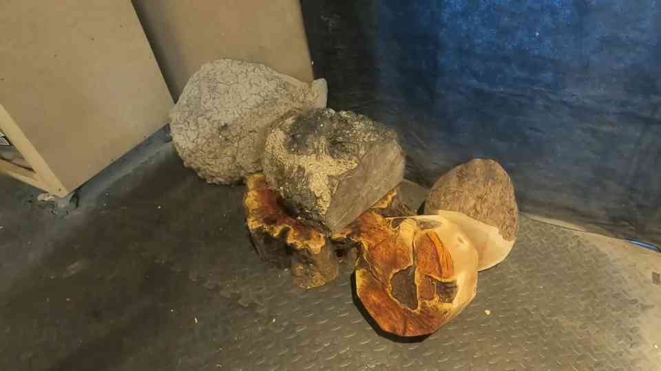 Woodturning - An awkward burl on a birch log