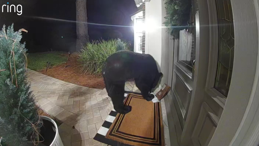 Watch: Ring camera captures bear stealing package from Florida front porch<br><br>