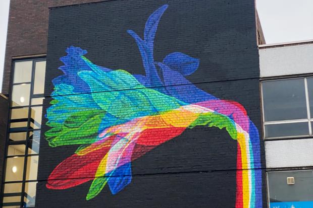 Beautiful new Wrexham 2029 mural fills early spring with light and colour