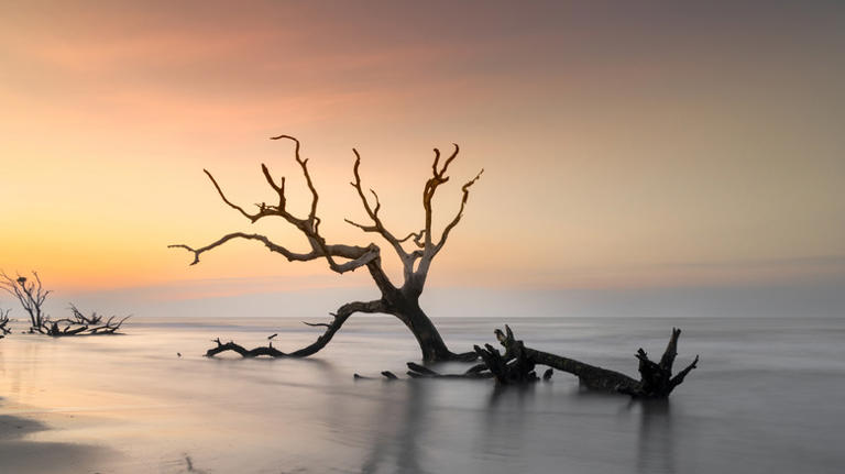This under-the-radar US beach is the perfect place to spot wildlife