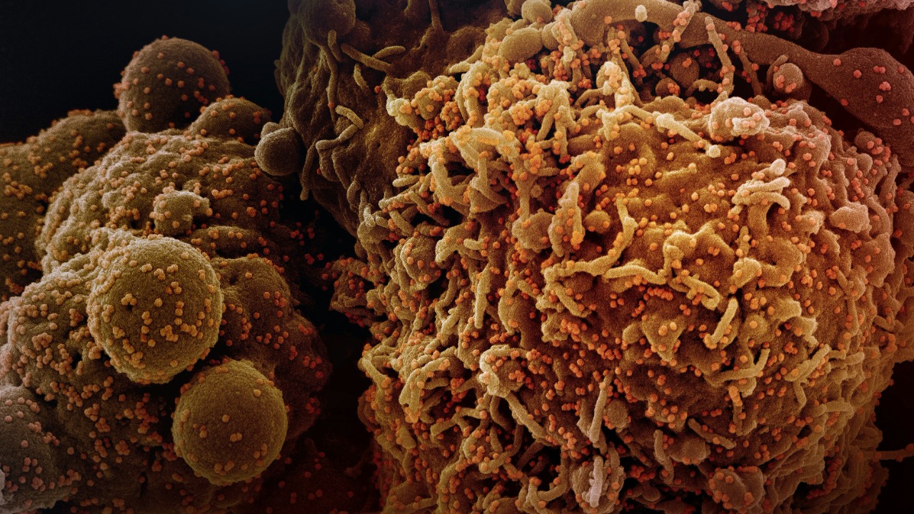 Scientists want to stop cancer decades before it starts, here's how