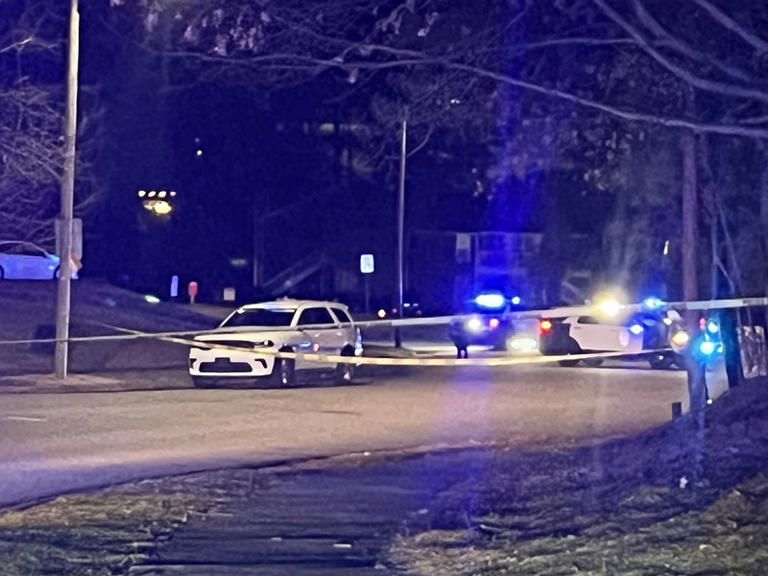 North Carolina murder suspect in custody after shooting at police