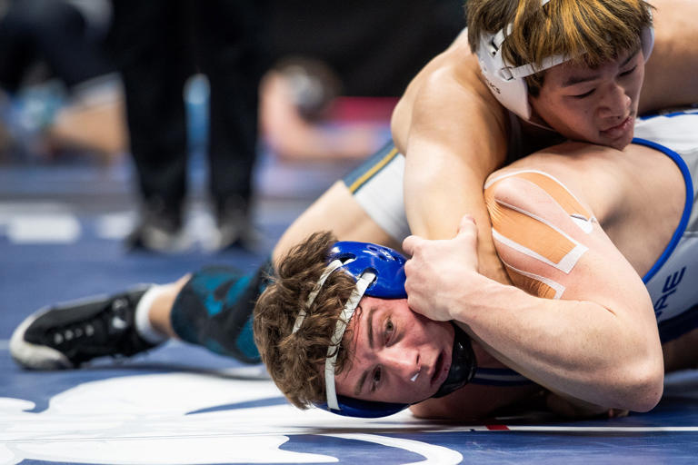 Colorado state wrestling live updates for Fort Collins-area wrestlers
