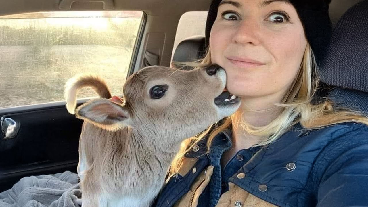 Comedian animal makes humans laugh in every single moment