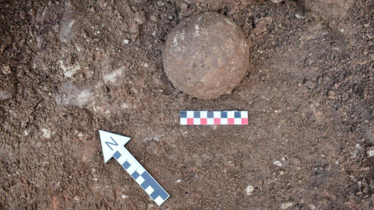 Ancient bone may be first physical evidence of Hannibal’s 'war machine ...