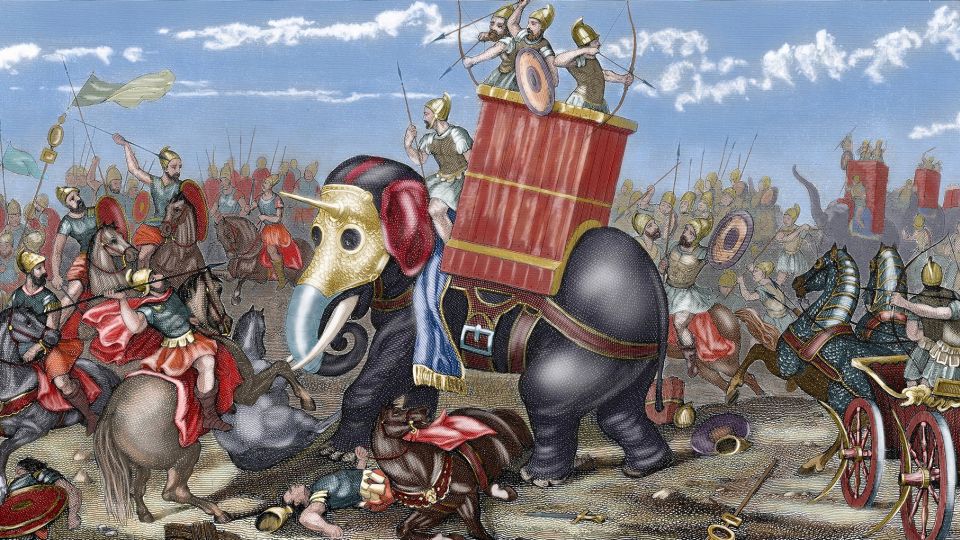Ancient bone may be first physical evidence of Hannibal’s 'war machine ...