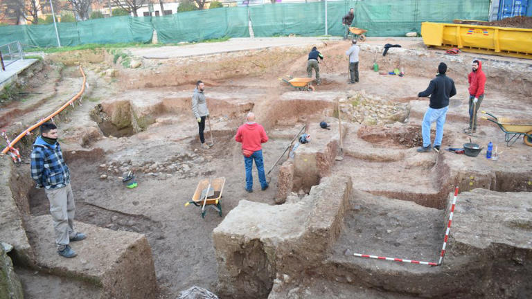 Ancient bone may be first physical evidence of Hannibal’s 'war machine ...