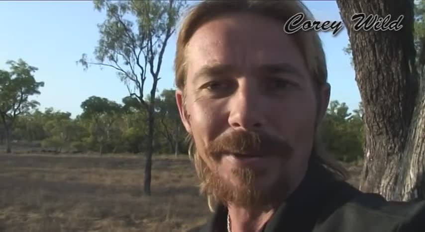 Traditional Australian cattle roundup in remote outback station country