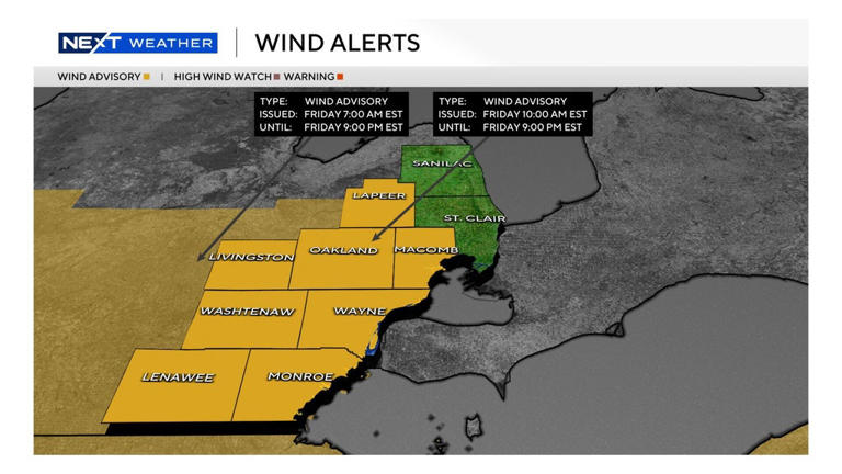 Wind advisory issued for southeast Michigan, wind gusts of up to 45 mph ...