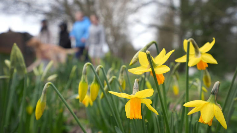 End to wintry weather with temperatures up to 16C forecast this weekend