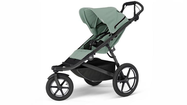 My daughter turns one next month—we’ve used this stroller 300+ days in ...