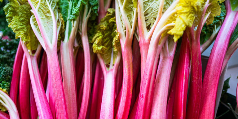Love rhubarb? Now’s the time to plant it for spring harvests for years ...