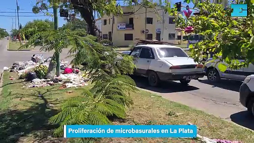 Proliferación de microbasurales en La Plata