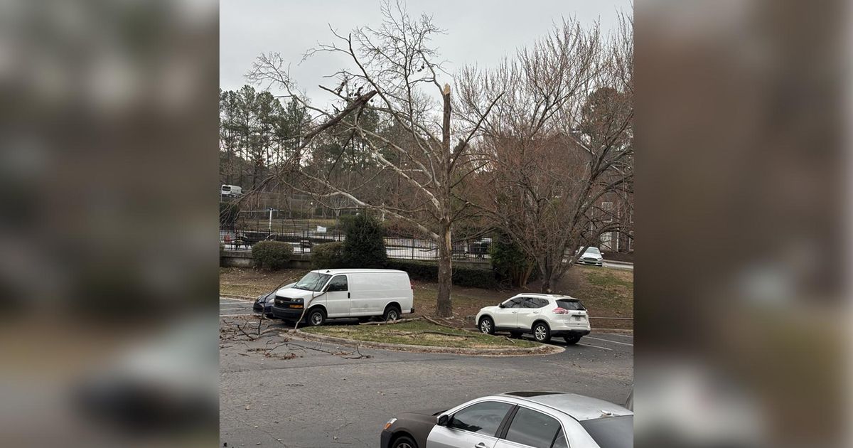 Strong winds brought down trees across Wake County